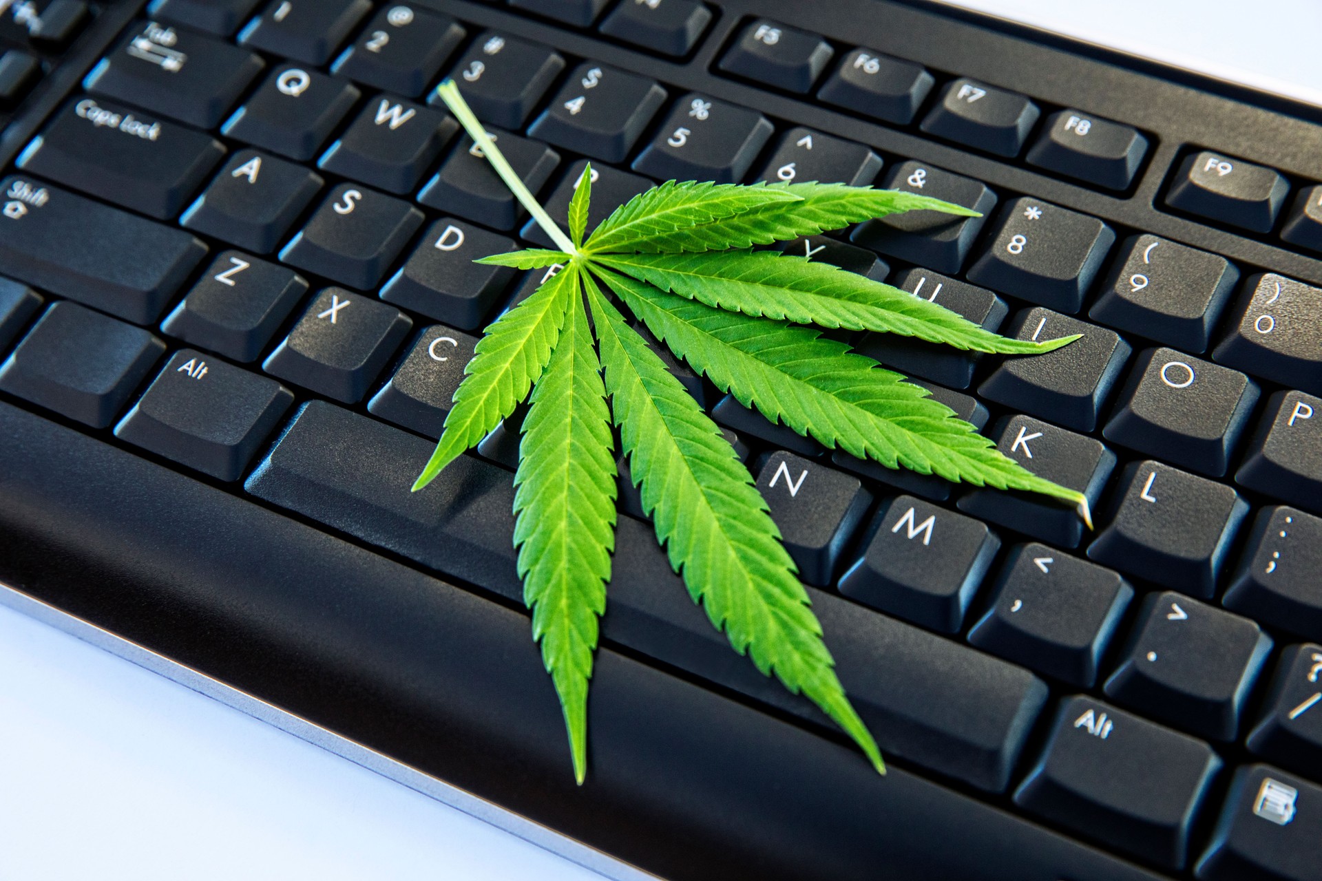 Cannabis ordered online with keyboard